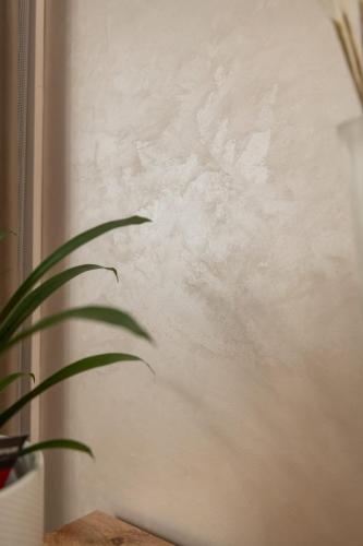 Sienų dekoras, kuris keičia erdvę | Royal Wall